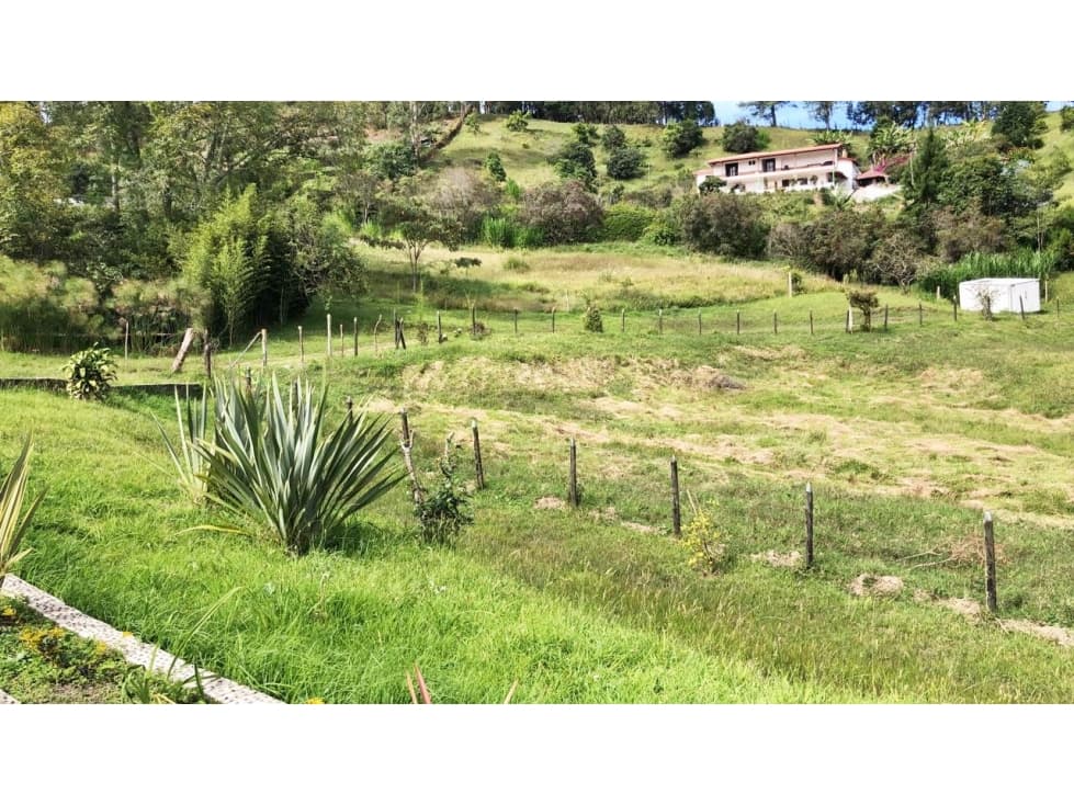 LOTE EN GUARNE DE 30.000 M2 - 1