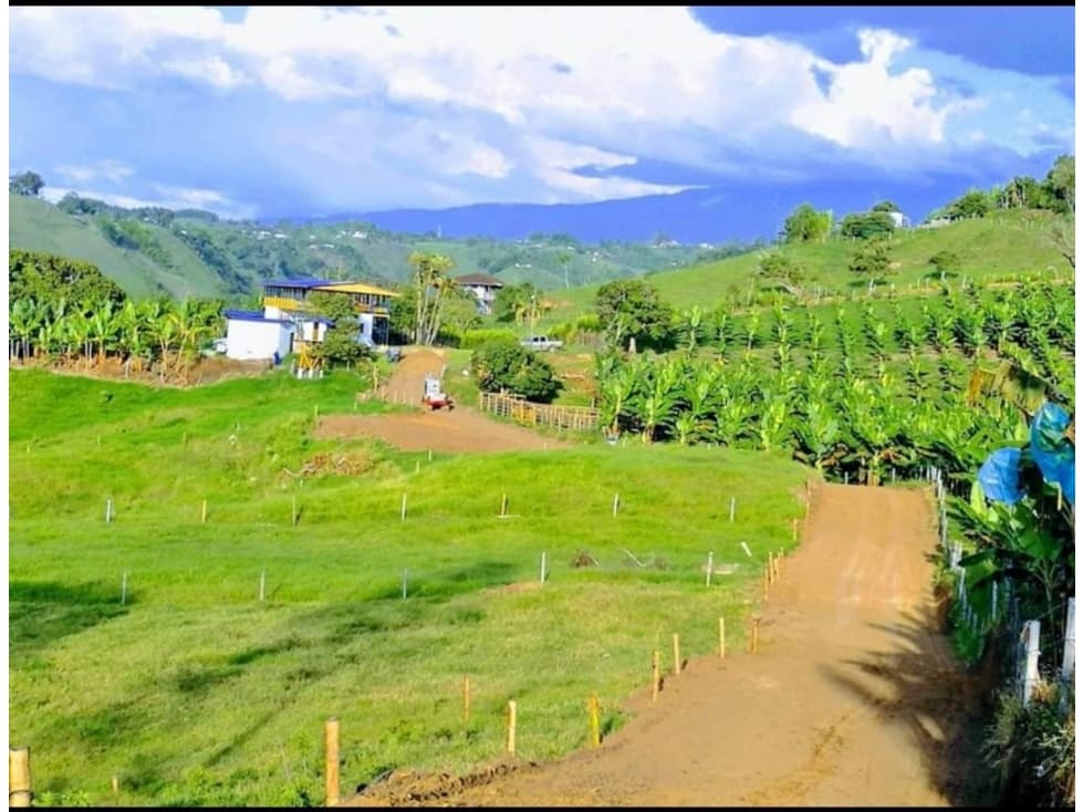 En venta Finca en Ulloa , 50 minutos de Pereira - 1