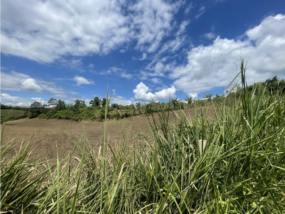 Se Vende Lote Industrial La Tebaida Quindio - 1