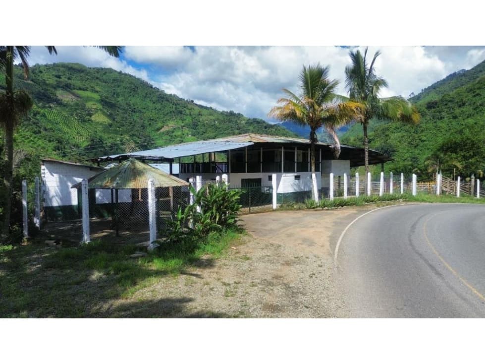 Finca En Produccion De Citricos A La Venta Genova Quindio - 1