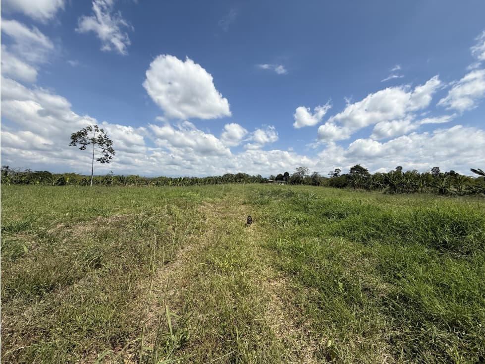 Se Venden Lotes Campestres Parcelacion Panaca Quimbaya - 1