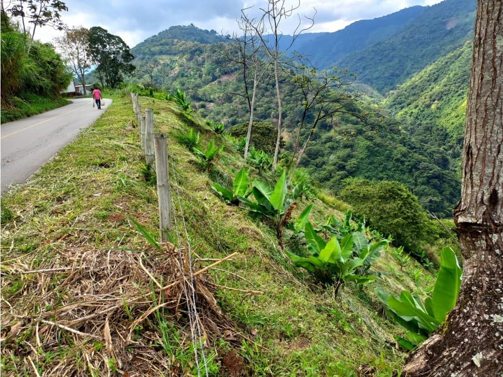 Se Vende Lote A Borde De Via Principal Barragan Genova 9082237 - 1