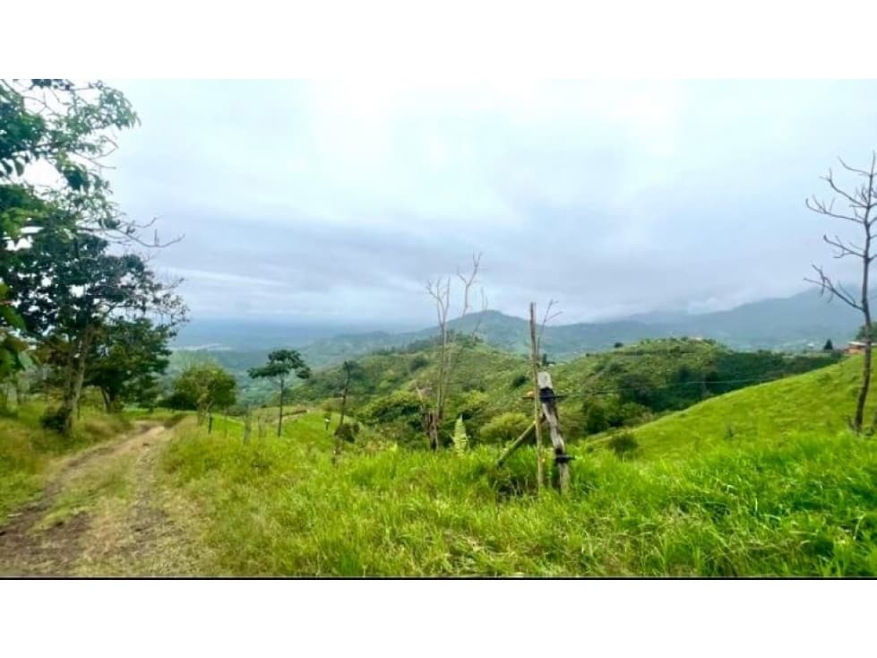 Se Vende Finca En Pasto Cordoba Quindio Vista Panoramica 9358247 - 1