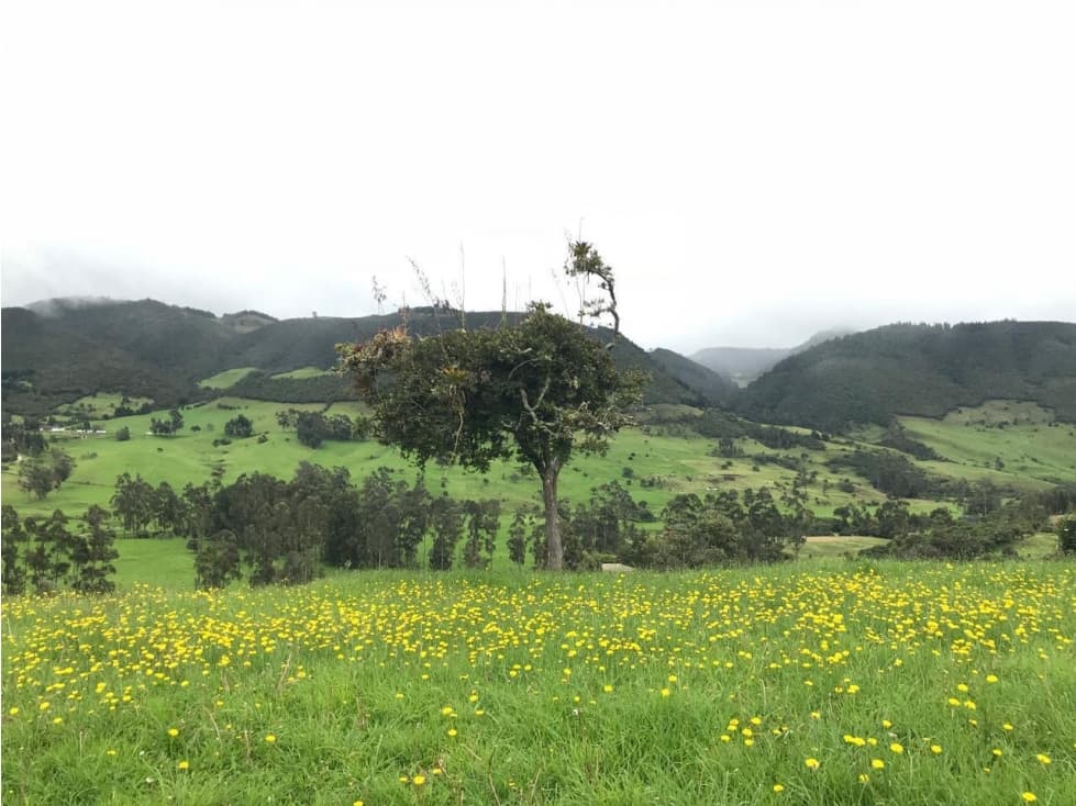 Se Vende Lote Condominio Cerrado La Calera 9439681 - 1