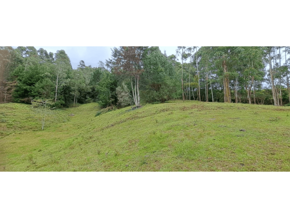 Lote en Venta en La Ceja - Rural - 1