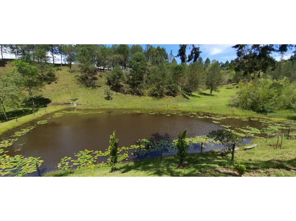 Finca en Venta en Rionegro - Santa Barbara - 1