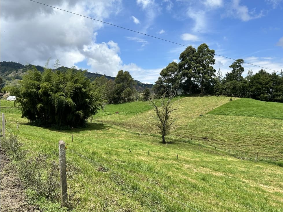 Finca de trabajo para venta en Abejorral - 1