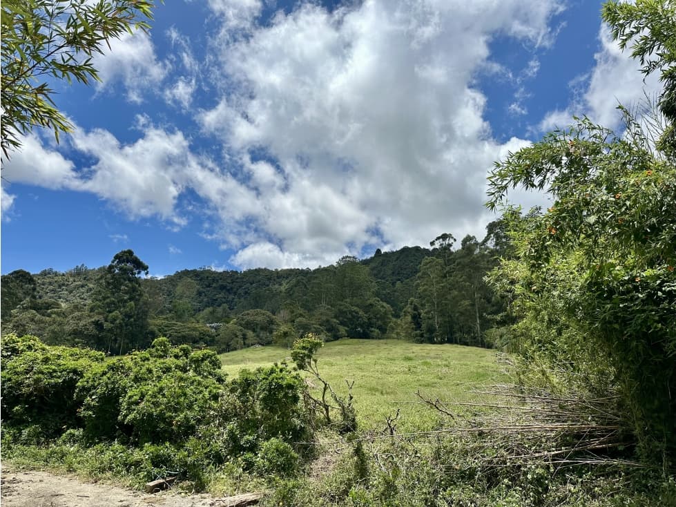 Venta De Lote En Rionegro Don Diego LLanogrande - 1