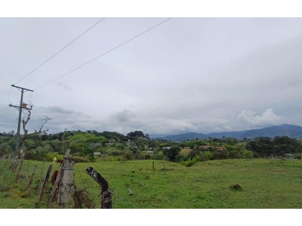 LOTE AL NORTE DE ARMENIA EN CIRCASIA Q - 1