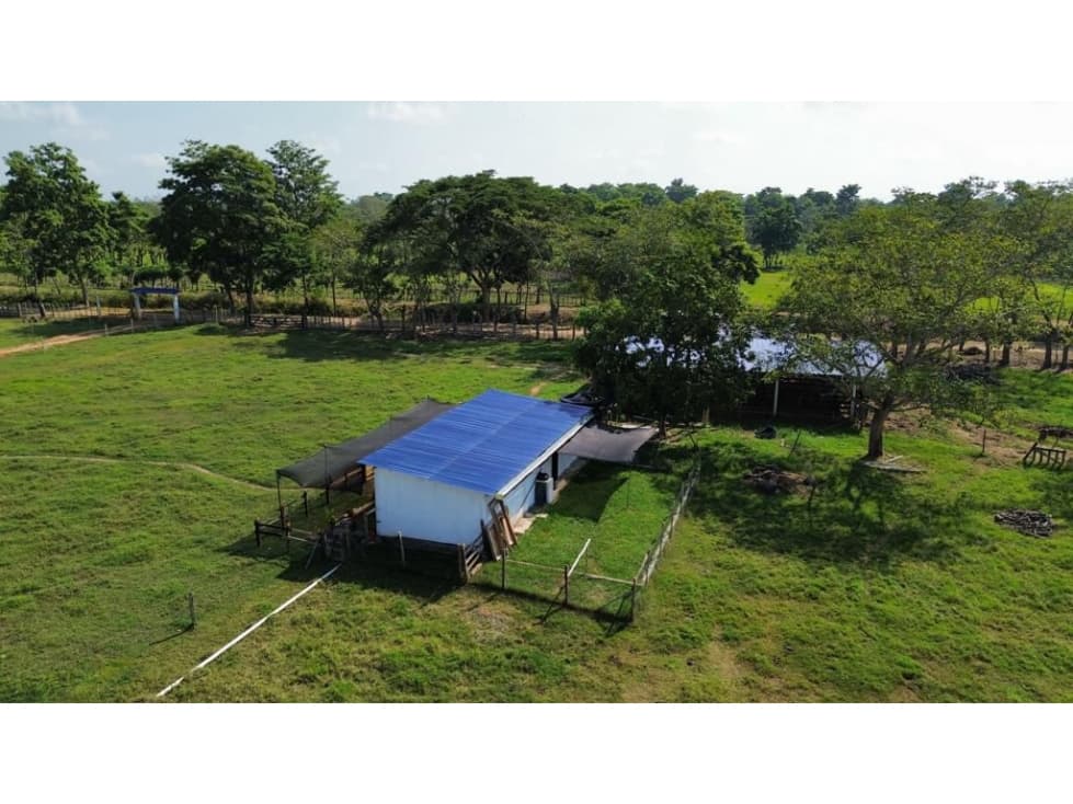 FINCA EN VENTA SAN PELAYO - 1