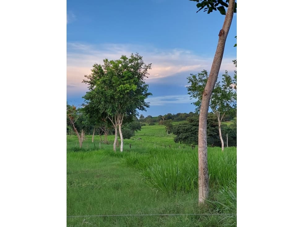 FINCA EN VENTA CIENAGA DE ORO - 1