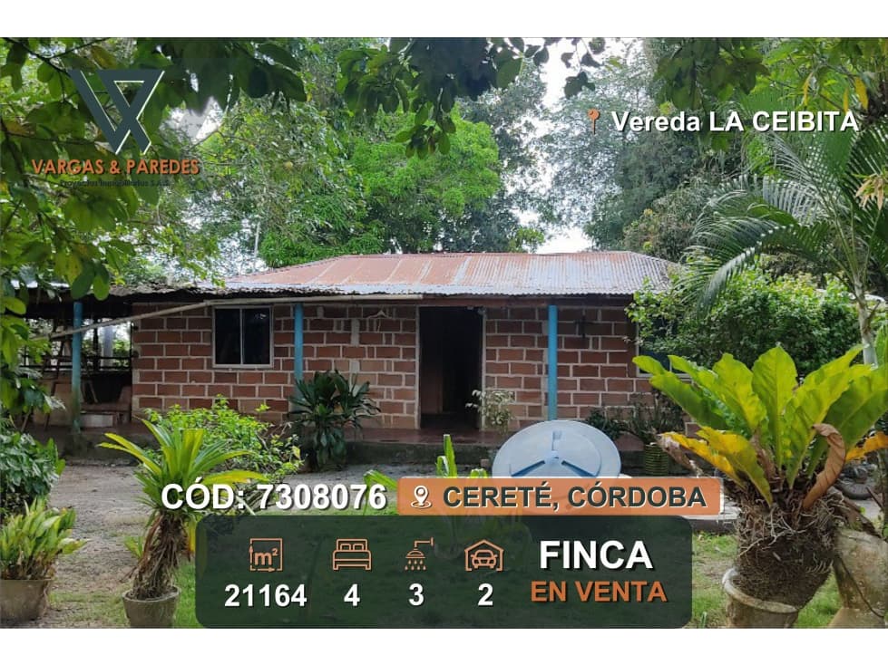 FINCA DE 21164M - LA CEIBITA- CERETE- CORDOBA - 1