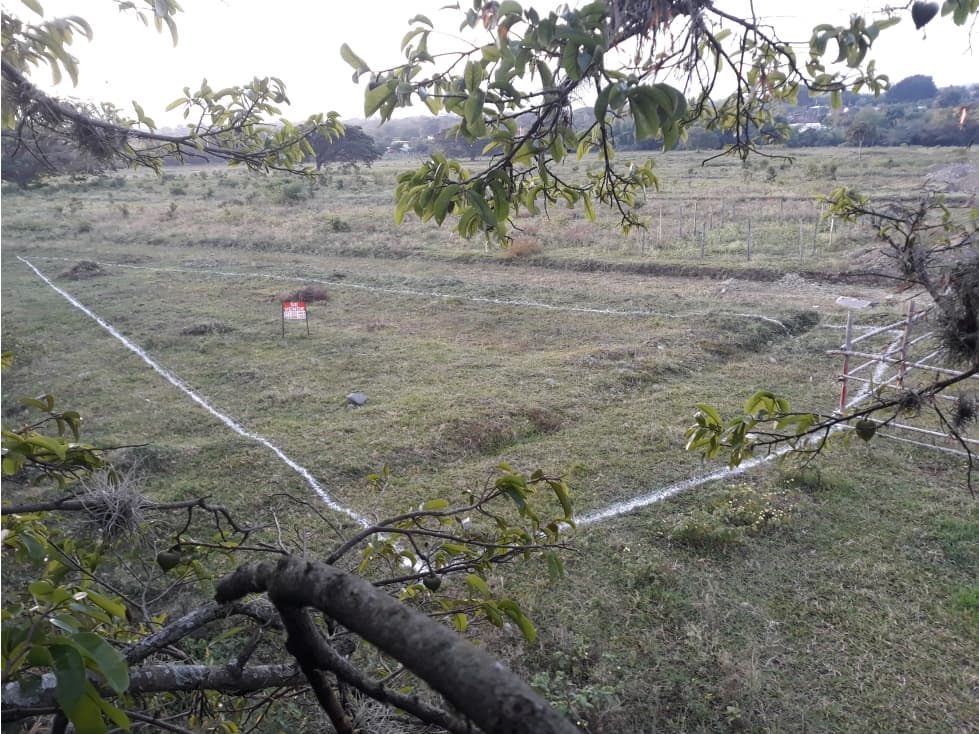 VENTA LOTE VEREDA LA FLORESTA GINEBRA VALLE DEL CAUCA CH - 1