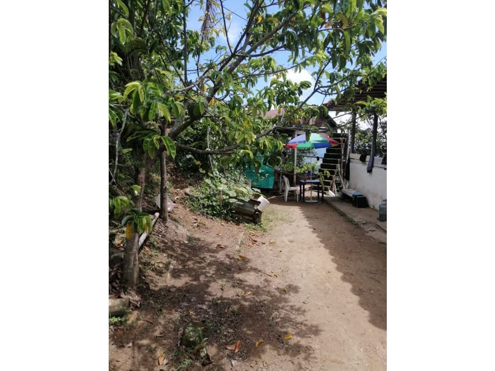 VENDO FINCA EN PIJAO - 1