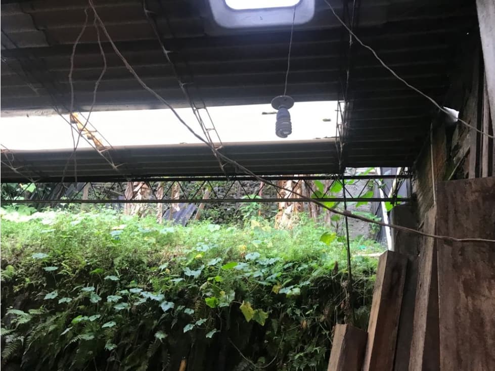 BODEGA NOR-OCCIDENTE - 1