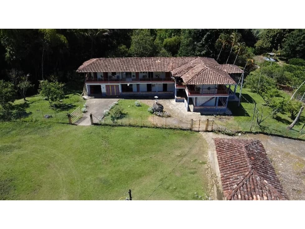 VENTA DE FINCA PRODUCTORA LIMON TARSO ANTIOQUIA - 1