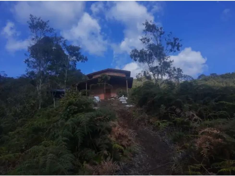 Venta de Finca Vereda Yarumal Abejorral - 1