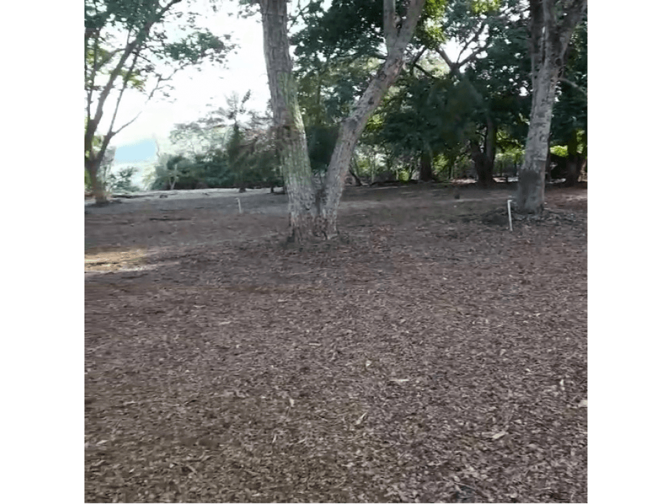 Venta de Lote Urbano Sector Llano de Bolívar, Santa Fe de Antioquia - 1