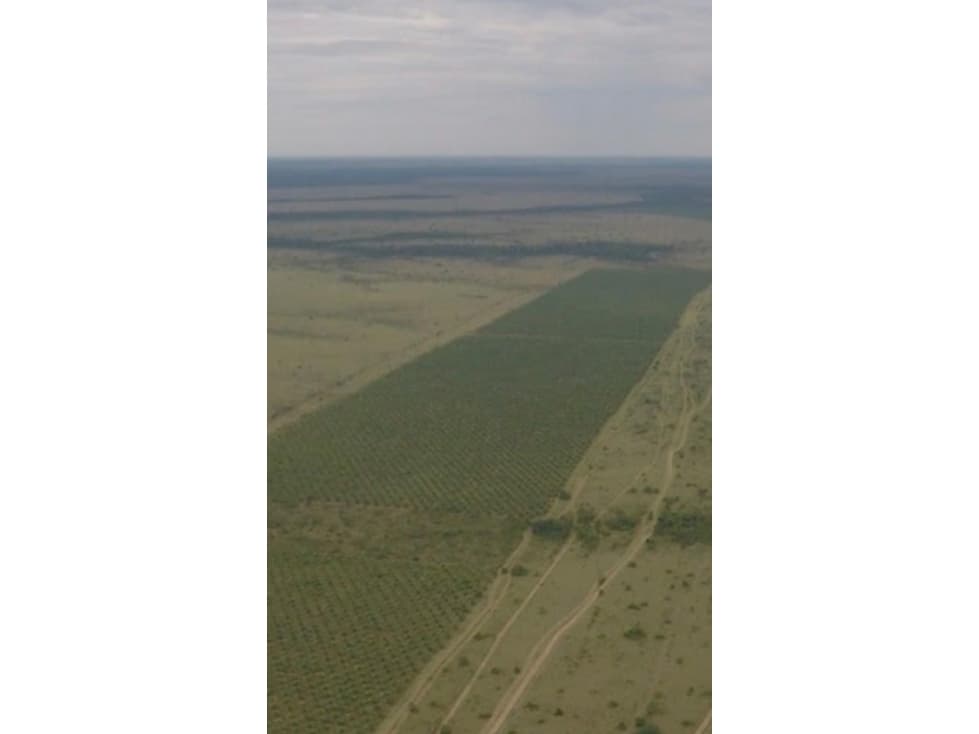 Vencambio Hacienda de Trabajo Agroindustrial de Palma de Aceite - 1