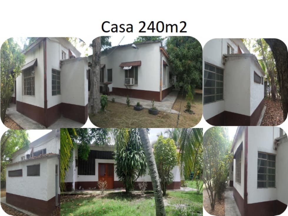 Vencambio Granja Porcicola-Piscícola Vereda Patio Bonito Tolima - 1