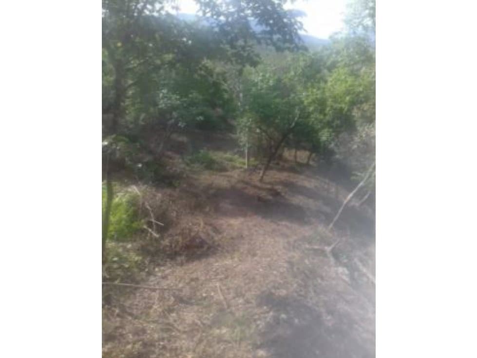 Venta de Lote Vereda Tonusco Santa Fe de Antioquia - 1