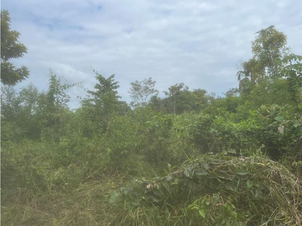 Vencambio Tierras Sector Callejas Córdoba - 1