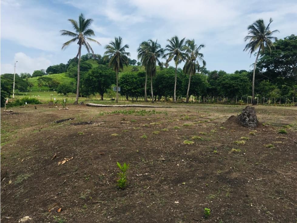 Venta de Lote Sector Vía al Hoyito Puerto Escondido - 1