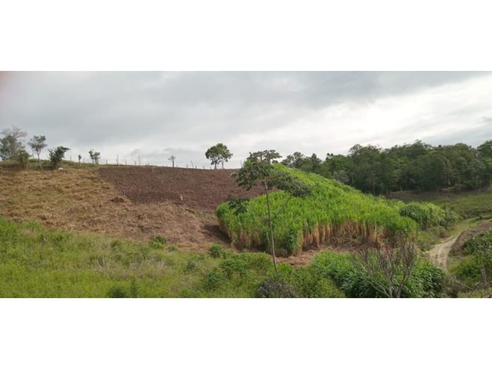 FINCA EN VENTA SANTA BÁRBARA TOLIMA - 1