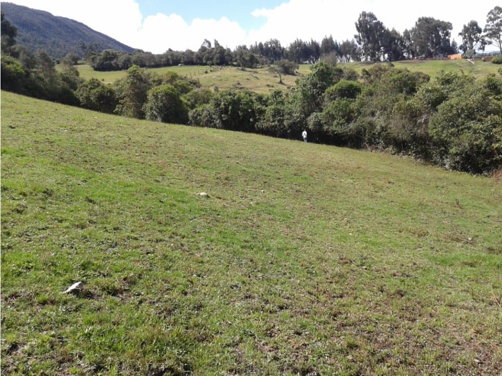 LIndo Lote en Tabio Rio Frio - 1