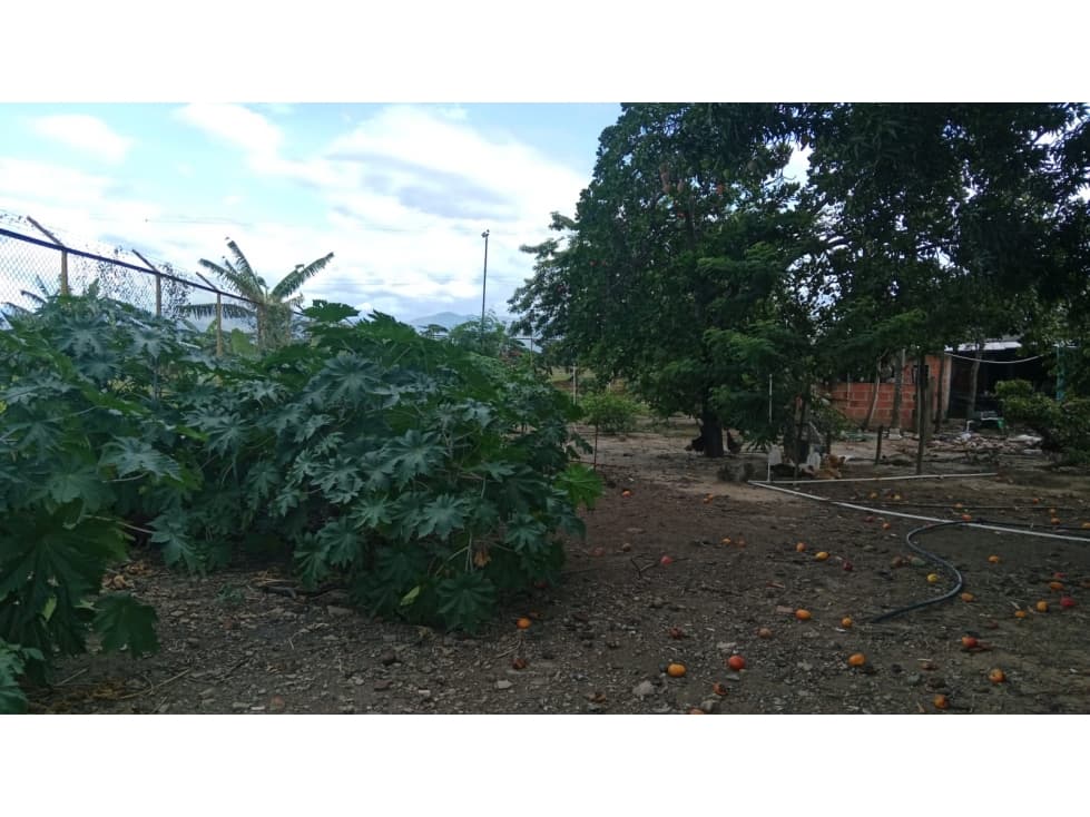 VENTA DE LOTE EN EL SECTOR DEL ZULIA - 1