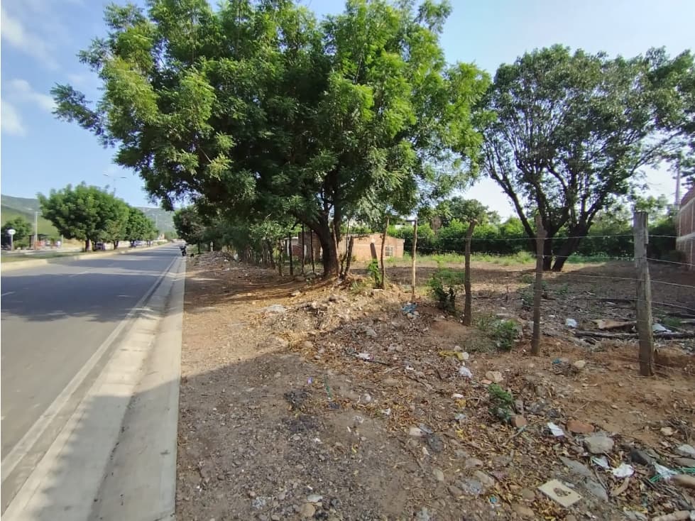 LOTE D1 OPCIÓN 2 - 1