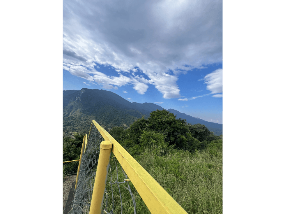 LOTE ALTOS DEL COROZAL 1.250 M2 - 1