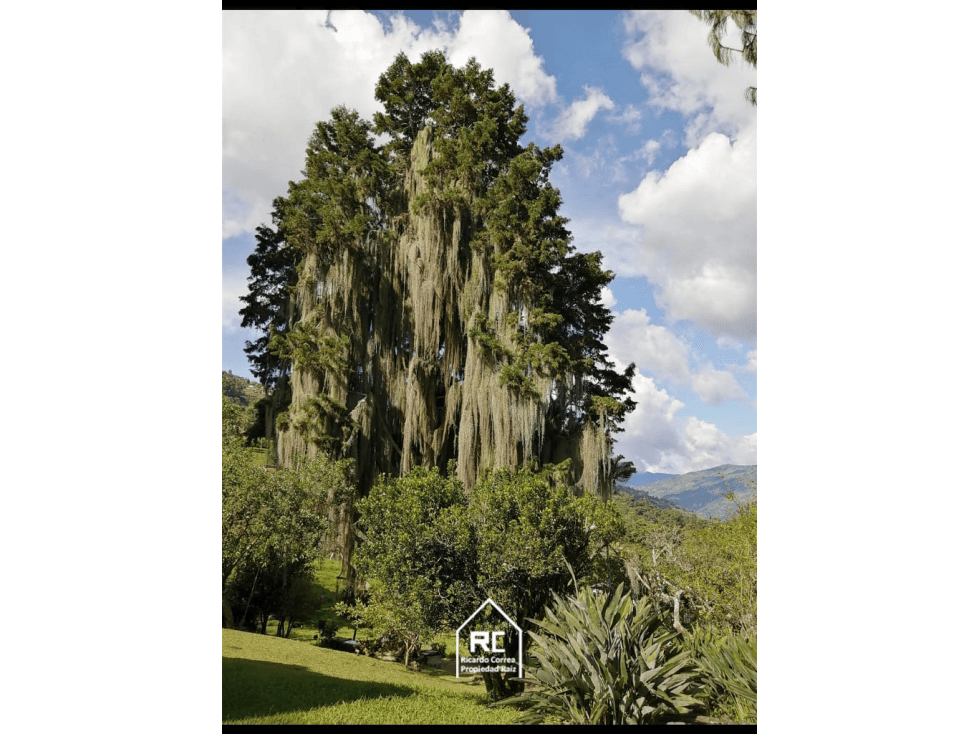 Lote 1 Copacabana - 1