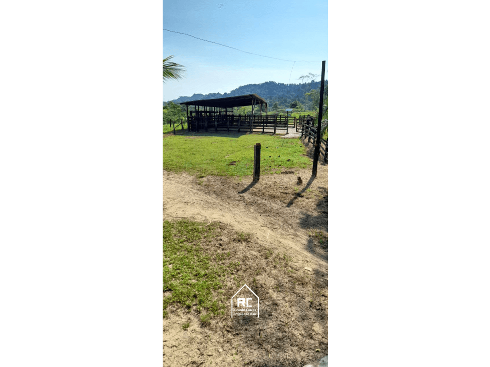 Finca Ganadera Cimitarra - 1