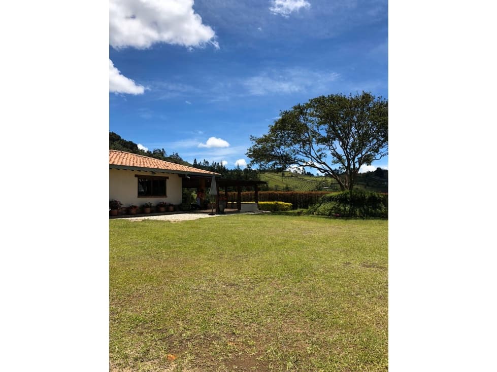 SE VENDE FINCA EN EL ALTO DEL CHOCHO CON NACIMIENTOS DE AGUA - 1