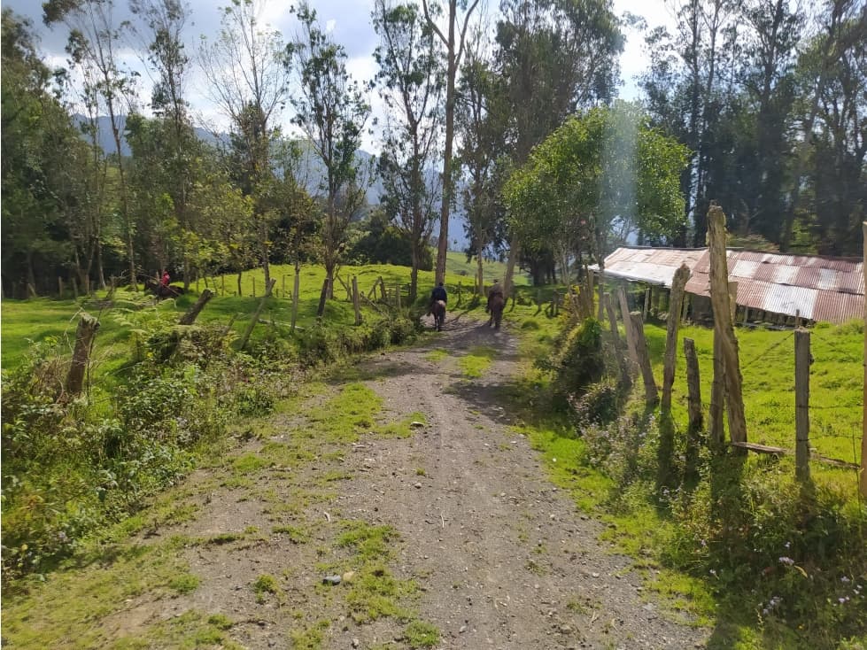 Venta de Finca Fomeque Cundinamarca - 1