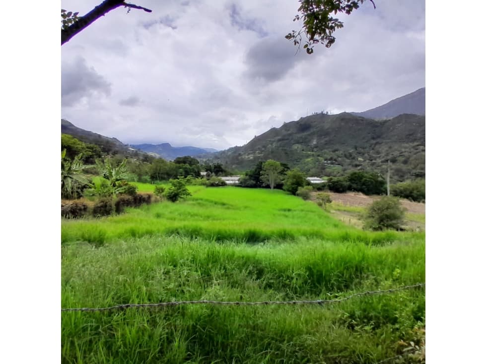 Venta Lote Rural, Sector Alto de la Virgen, Choachi, Cundinamarca - 1