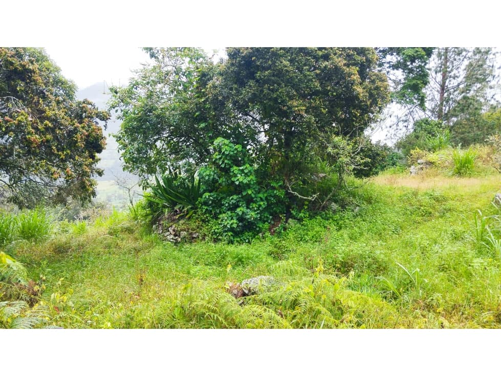 Venta Predio Rural, Vereda Maza, Choachi Cundinamarca - 1