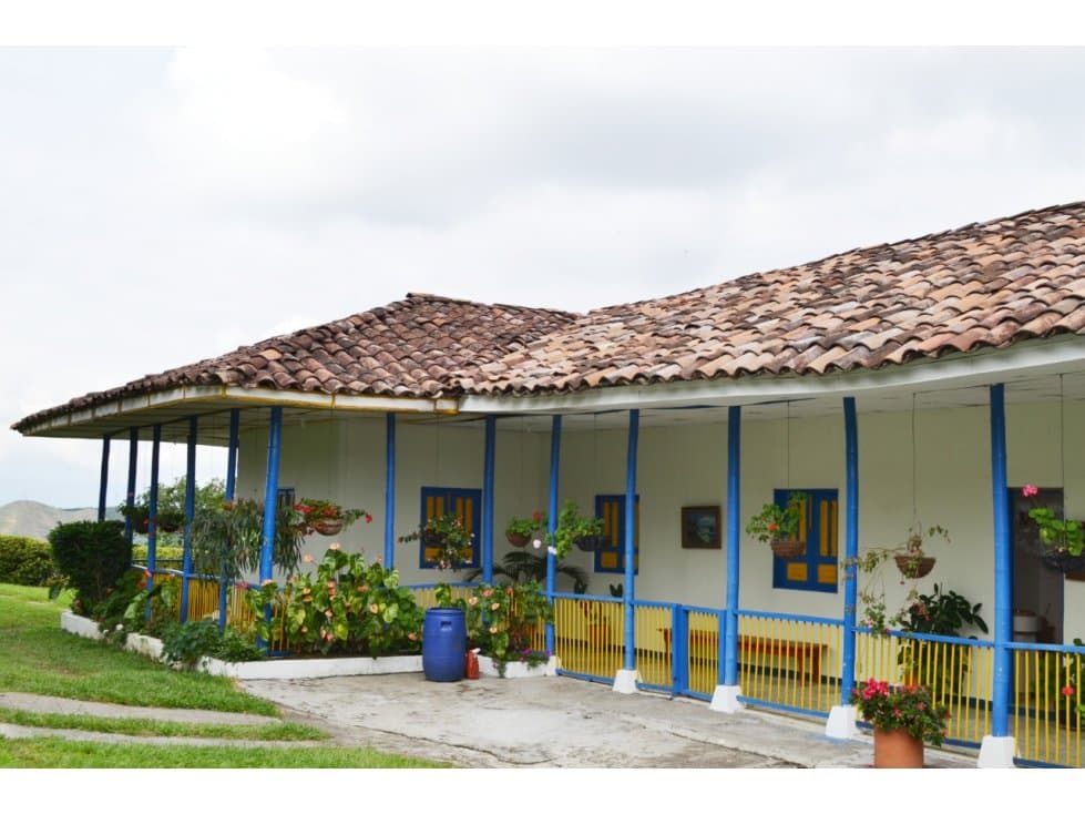 FINCA PALESTINA 17 PAX - 1