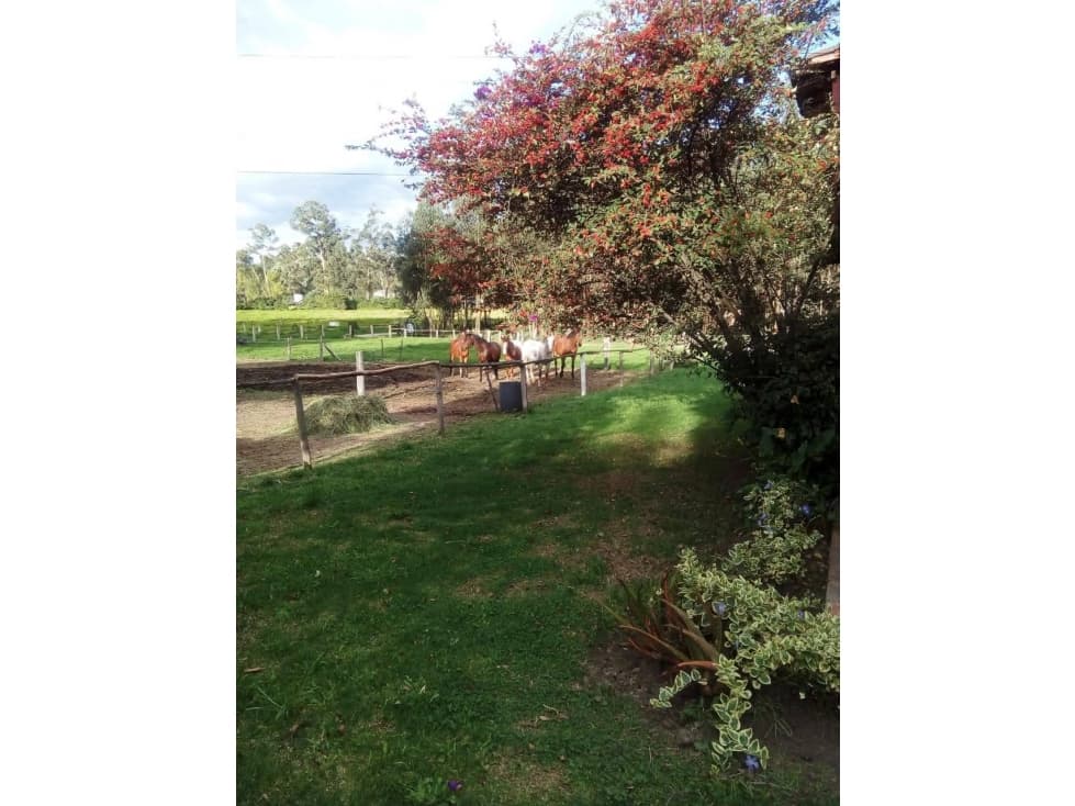 Lote en Vereda Fragua, Chia para Vivienda o uso Institucional - 1
