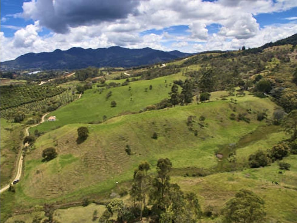 Venta Lote - Rionegro - El Capiro - 1