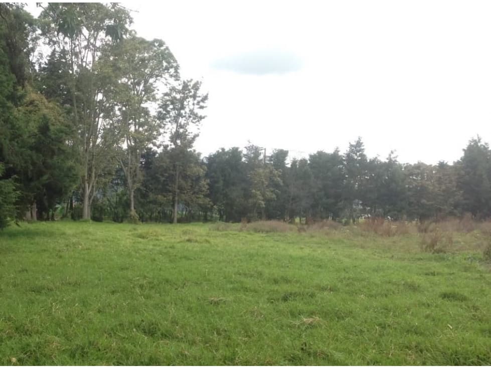 VENTA LOTE CHIA VIA GUAYMARAL - 1