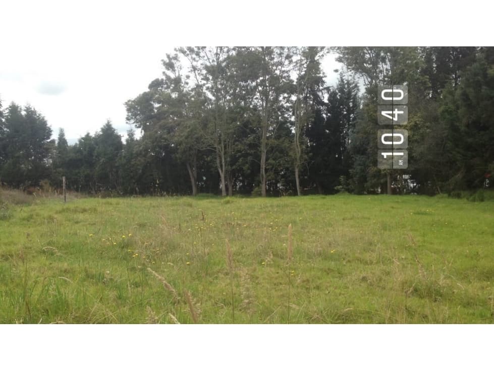 ARRIENDO LOTE CHIA VIA GUAYMARAL - 1