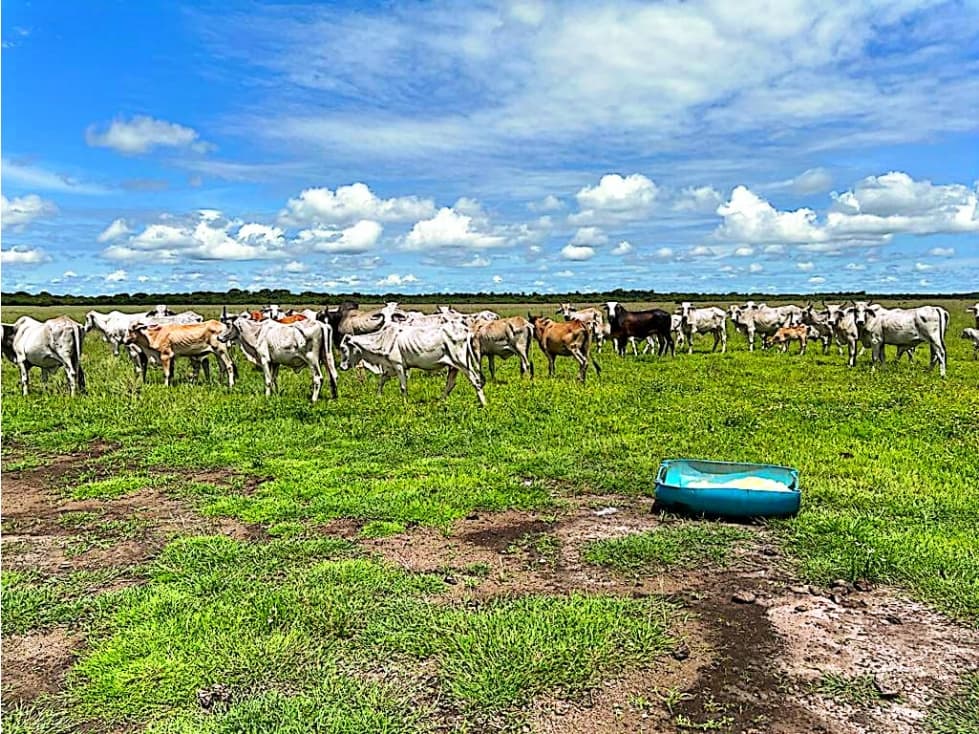 FINCA GANADERA EN VENTA, PUERTO GAITAN META - 1