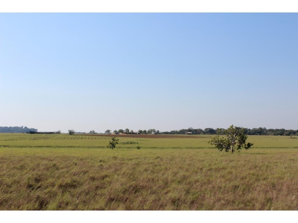 FINCA EN VENTA CUMARIBO VICHADA - 1