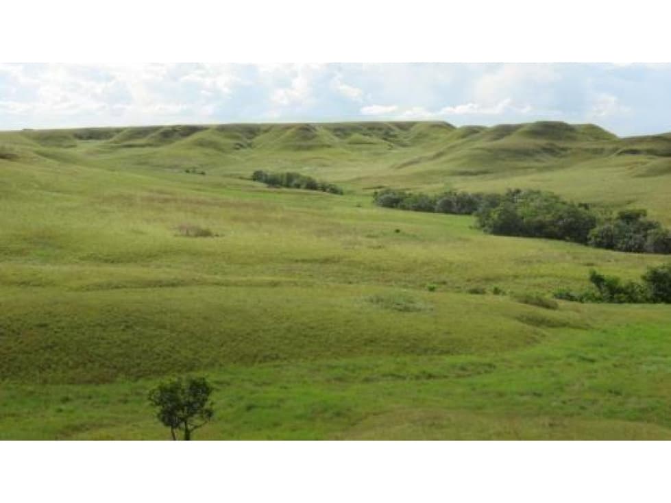 FINCA DE 80.000 HECTAREAS EN VENTA, PUERTO GAITAN META - 1