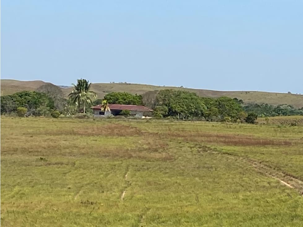 FINCA DE 994 HECTAREAS EN VENTA, PUERTO LOPEZ META - 1