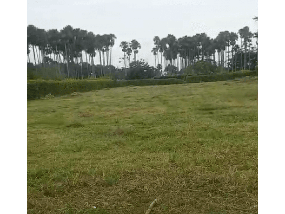 LOTE DE 2.500 M2 EN VENTA, APIAY, VIA PUERTO LOPEZ - 1