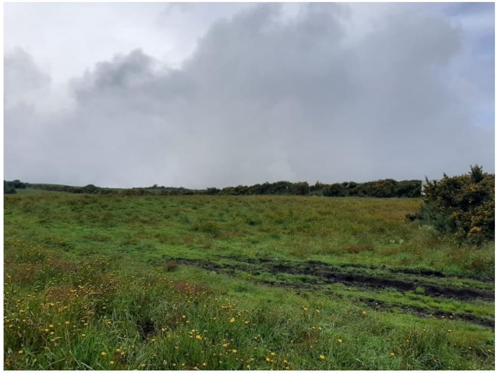 FINCA DE 610 HECTAREAS EN VENTA, PUERTO LOPEZ META - 1