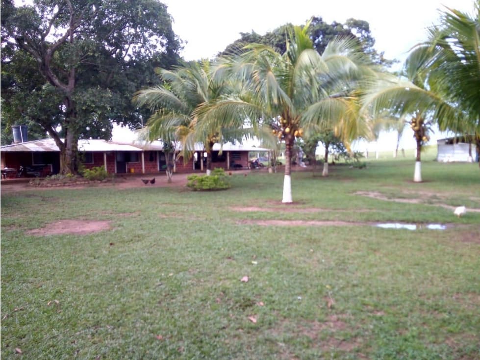 FINCA PALMERA DE 4.800 HECTAREAS EN VENTA, PUERTO LOPEZ META - 1